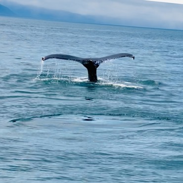 Alaska