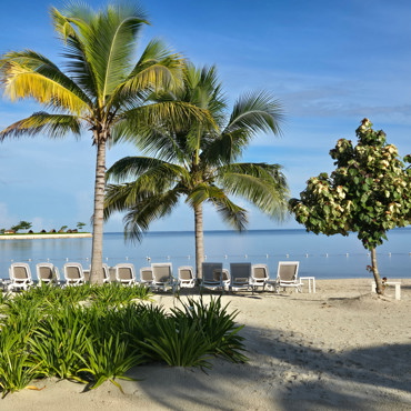 Caribbean