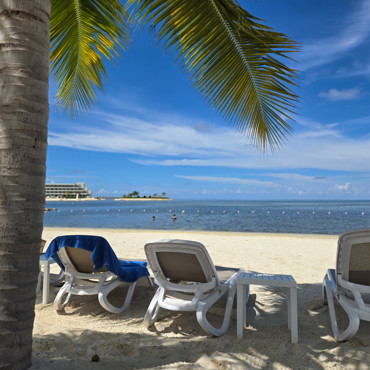 Caribbean