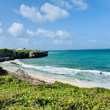 Caribbean