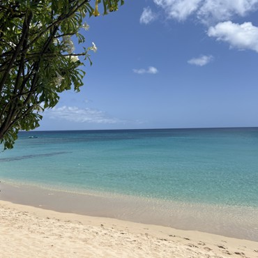 Caribbean