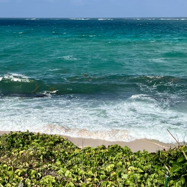 Caribbean