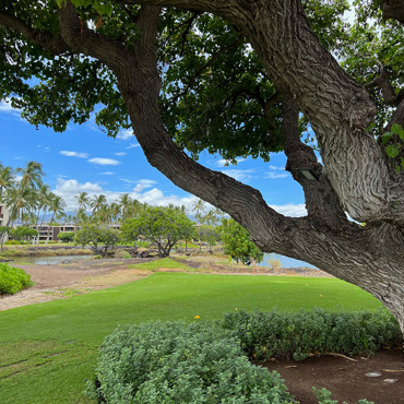 Hawaii